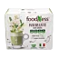 Matcha\u0020Latte\u0020med\u0020ginseng\u0020